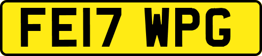 FE17WPG