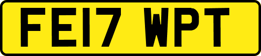 FE17WPT