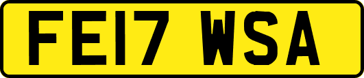 FE17WSA