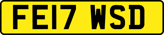 FE17WSD