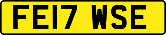 FE17WSE