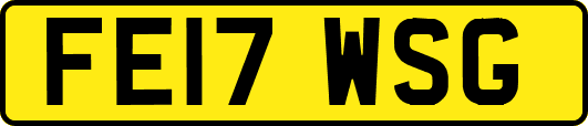 FE17WSG