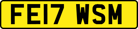 FE17WSM