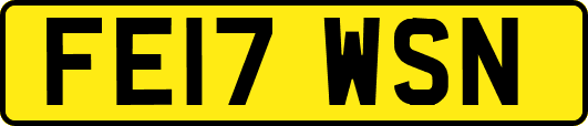 FE17WSN