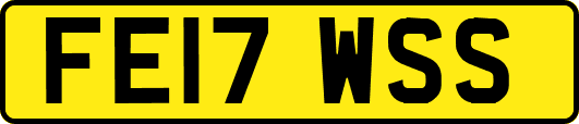 FE17WSS