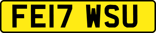 FE17WSU