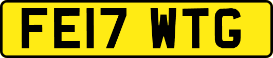 FE17WTG