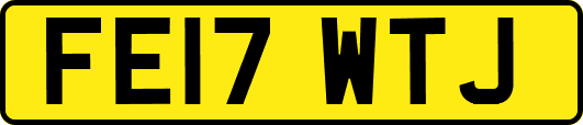 FE17WTJ