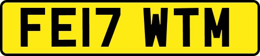 FE17WTM