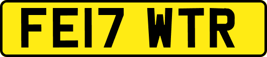 FE17WTR