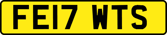 FE17WTS