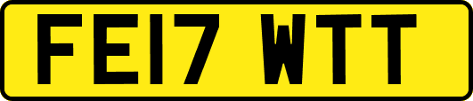 FE17WTT