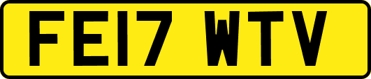 FE17WTV