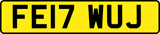 FE17WUJ