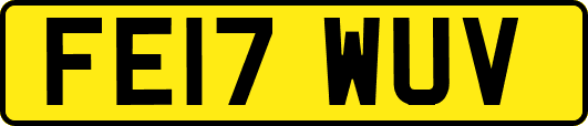 FE17WUV