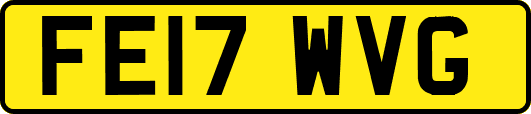 FE17WVG
