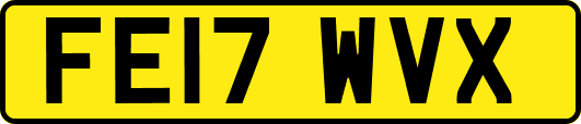 FE17WVX