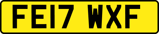 FE17WXF