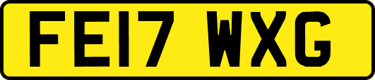 FE17WXG