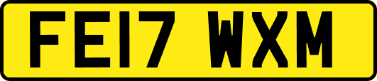 FE17WXM