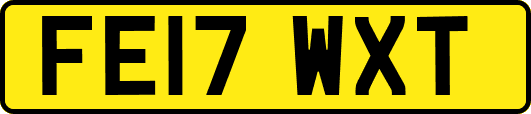 FE17WXT