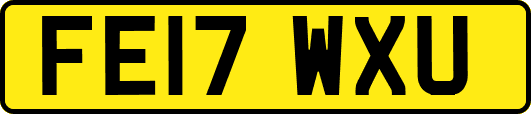 FE17WXU