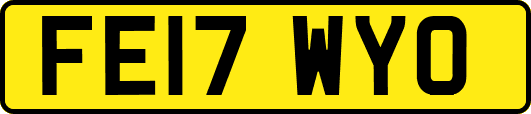 FE17WYO