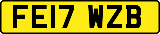 FE17WZB