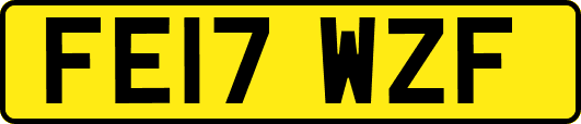 FE17WZF