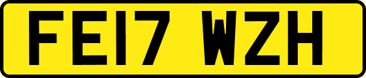 FE17WZH