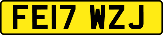 FE17WZJ