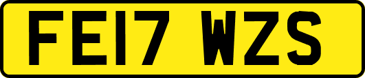 FE17WZS