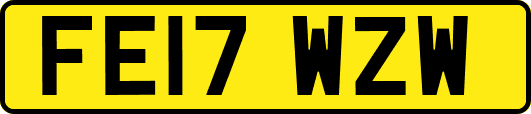 FE17WZW