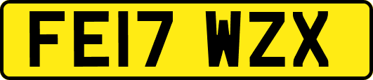 FE17WZX