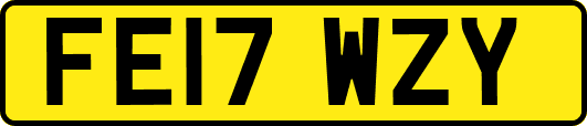 FE17WZY