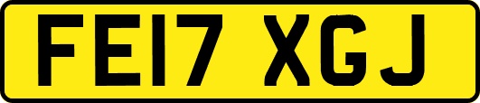 FE17XGJ