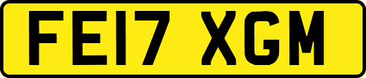 FE17XGM