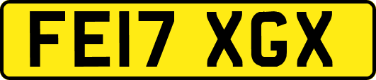 FE17XGX
