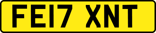 FE17XNT