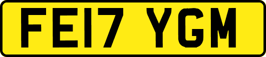 FE17YGM