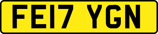 FE17YGN