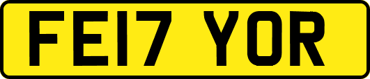 FE17YOR