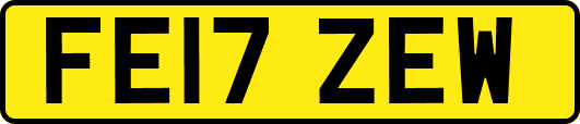 FE17ZEW