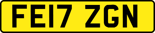 FE17ZGN