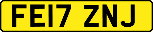 FE17ZNJ