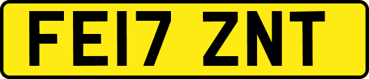 FE17ZNT
