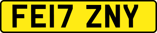 FE17ZNY