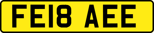 FE18AEE