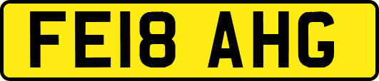 FE18AHG