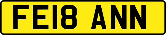 FE18ANN